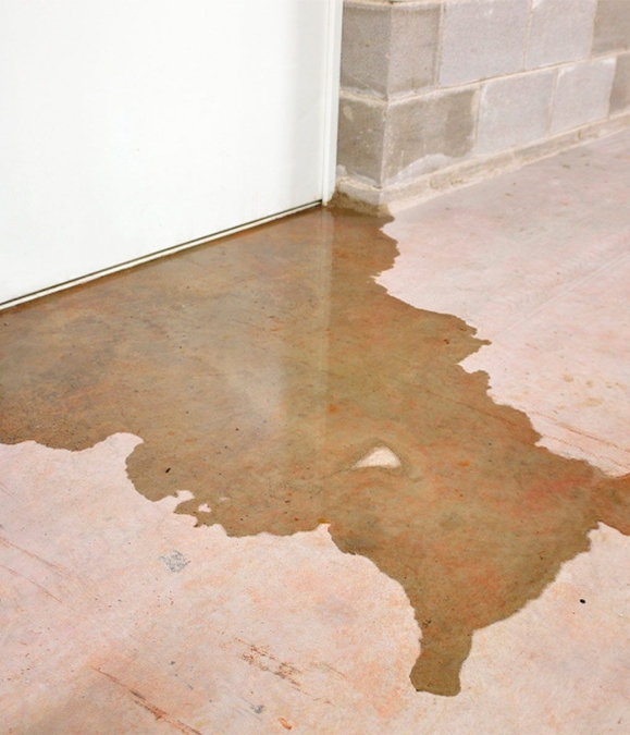 A brown puddle of water on the floor