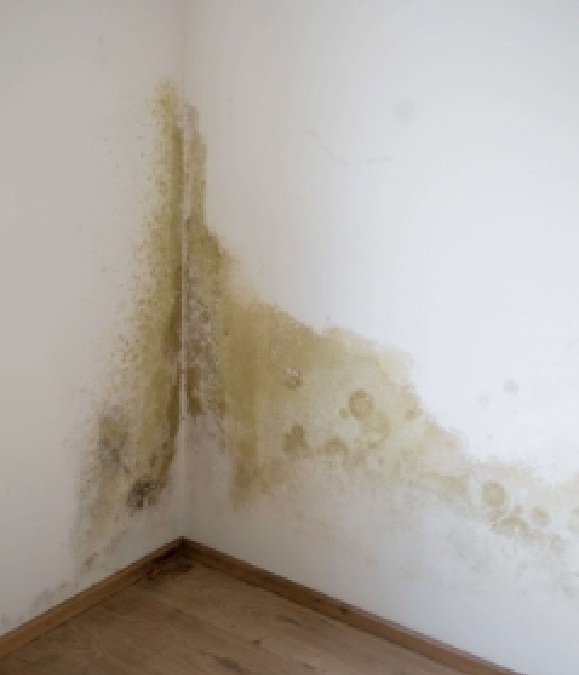 A wall that has been damaged by water damage.